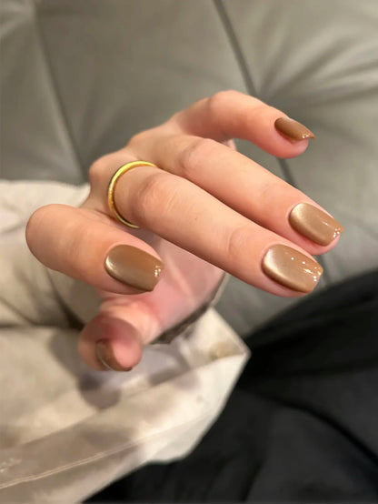 WS Black Glass Cat Eye Magnetic Gel Polish