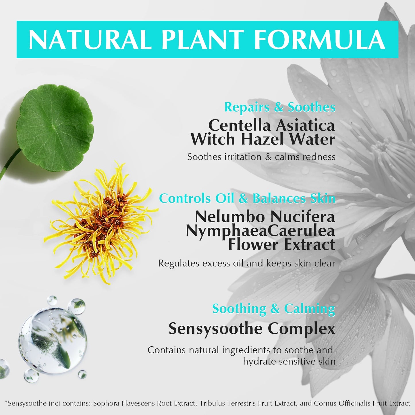 Deep Cleansing Oil Control Clay Mask