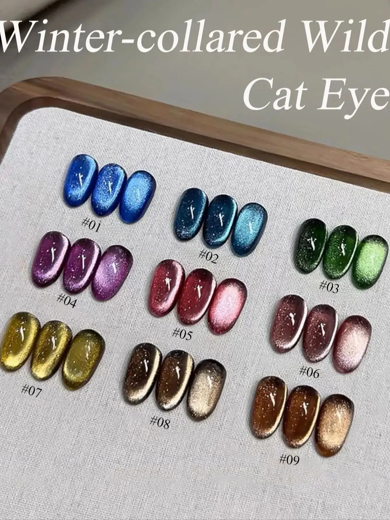 WS Black Glass Cat Eye Magnetic Gel Polish